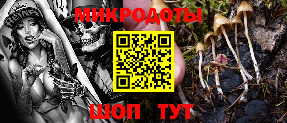 Галлюциногенные грибы Psilocybine cubensis  как найти наркотики  Донецк 